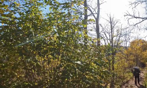 Aire camping-car Aire Naturelle de Camping de Luc