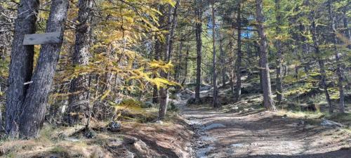 Aire camping-car Aire de camping-car