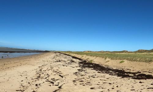 Plage de Barbâtre, plage