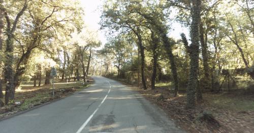 Aire camping-car Camping Domaine De La Bergerie - Vence