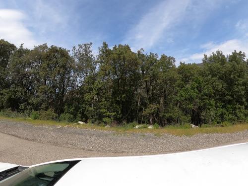 Aire camping-car Marinella