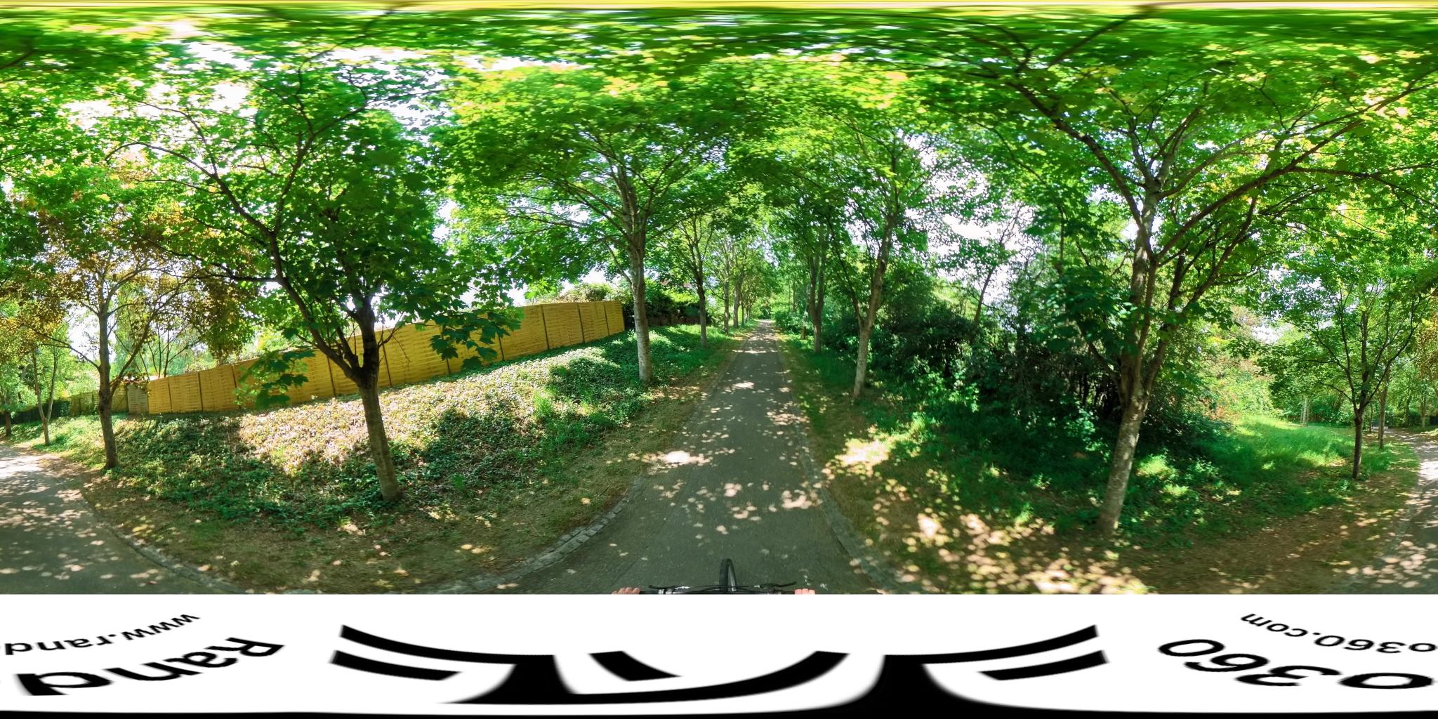 Vue de la rue du spot Jardin du Belvédère, Rue de l’Orée du Bois