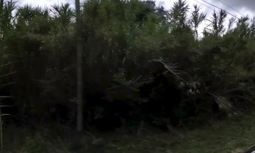 Aire camping-car Aire de camping-car