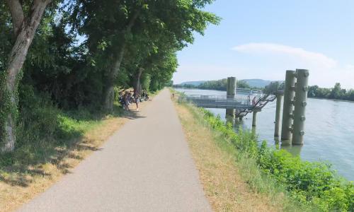 Bords de Saône