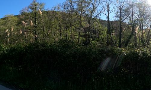 Aire camping-car Kalliste