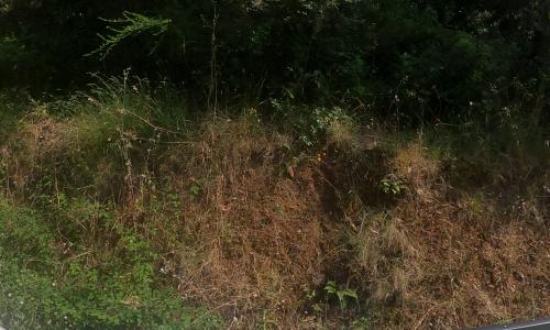 Aire camping-car Les Couchants