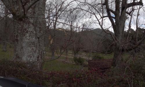 Aire camping-car Camping Municipal Serra di Scopamène