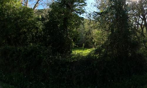 Aire camping-car Kalliste