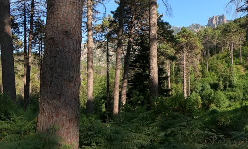 Aire camping-car U Valdu