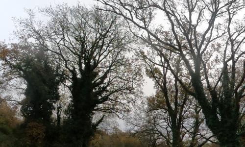 Aire camping-car Camping Brouël