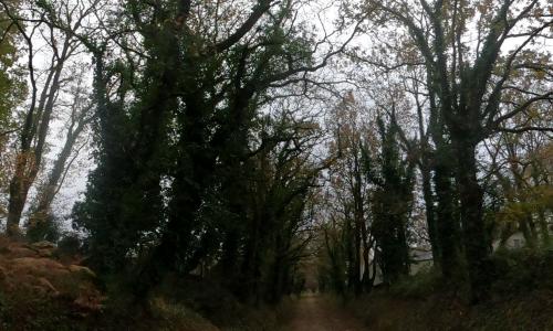 Aire camping-car Camping Le Gréarn