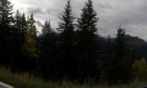 Aire camping-car Camping La Forêt