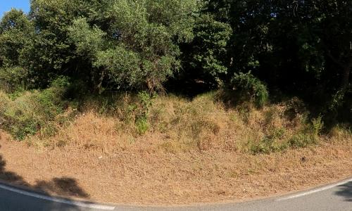 Aire camping-car Flower Campings Camping Corse Torraccia