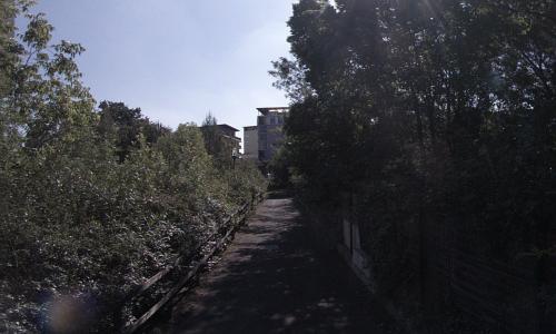 Parc de la lironde, jardin / parc