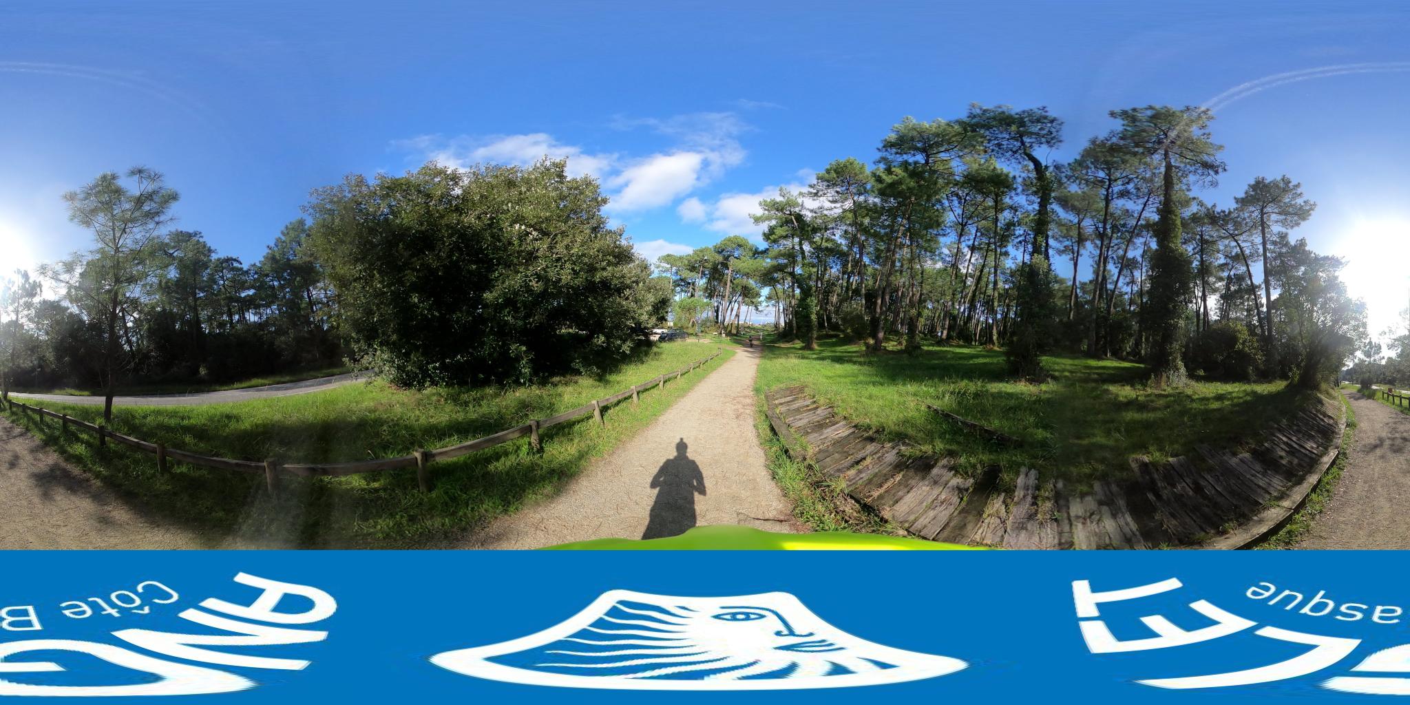 Forêt de Chiberta, parking à Anglet