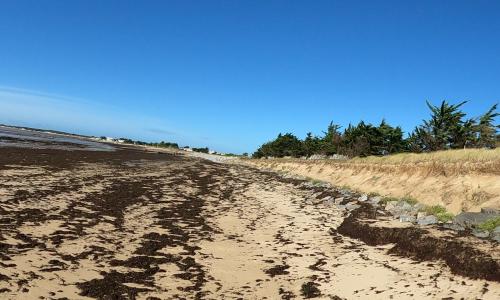 Aire camping-car Camping municipal de la Court