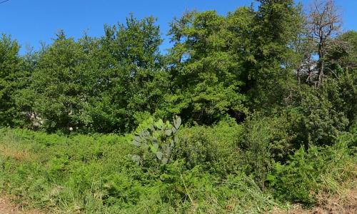 Aire camping-car Camping à la ferme Chez Rose