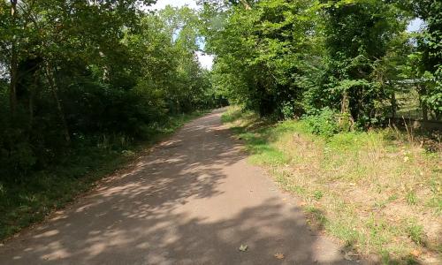 Bois de Vincennes
