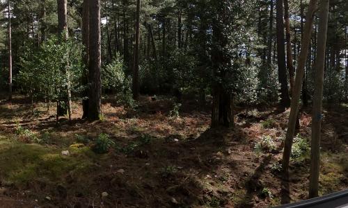 Aire camping-car Parking Lac de l'Ospedale