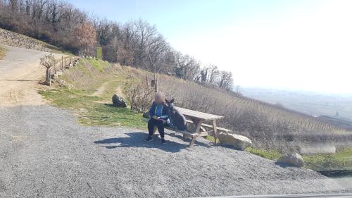 Aire camping-car Aire de camping car Domaine Baron de l'Ecluse