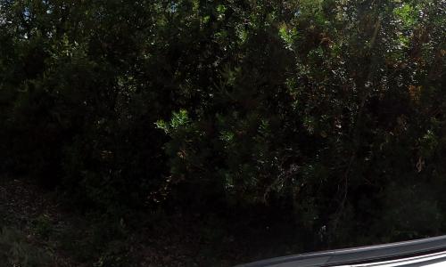 Aire camping-car Camping Pont de Truggia