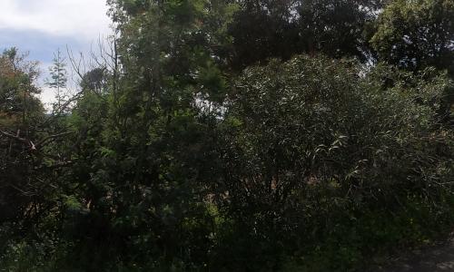 Aire camping-car Camping Monte d'Ortu