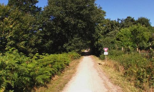 Aire camping-car Camping du Lac