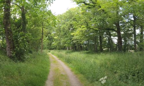 Aire camping-car Camping Guerzaille