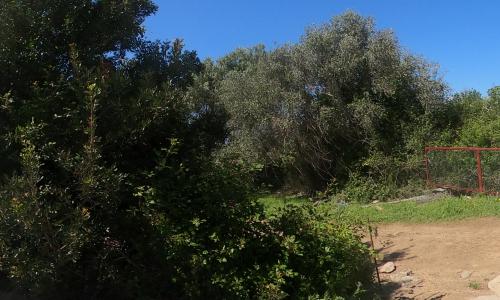 Aire camping-car Balanea