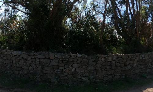 Aire camping-car BONIFACIO - Aire CCI 33421
