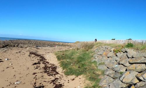 Aire camping-car Camping municipal de la Pointe