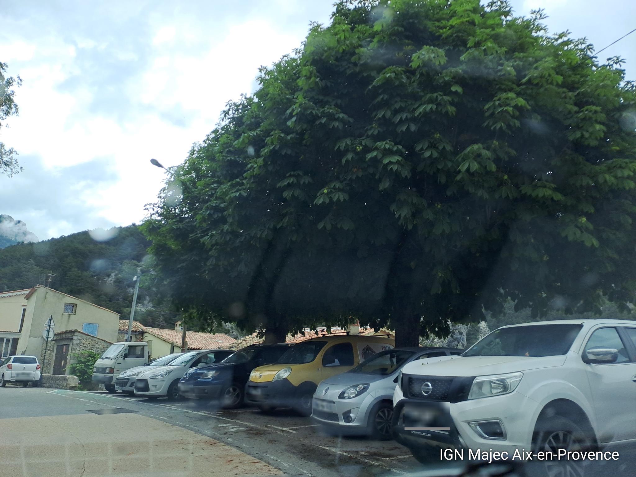 La rue de Les Ciseaux D&rsquo;Isabelle à Peille
