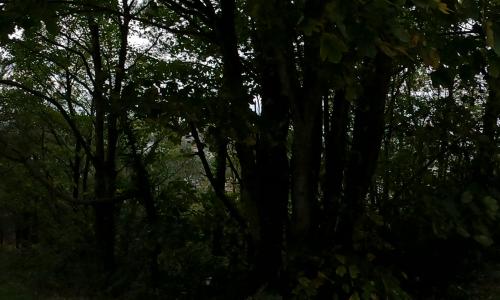 Montagne du Roule
