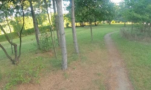 Bois de Boulogne